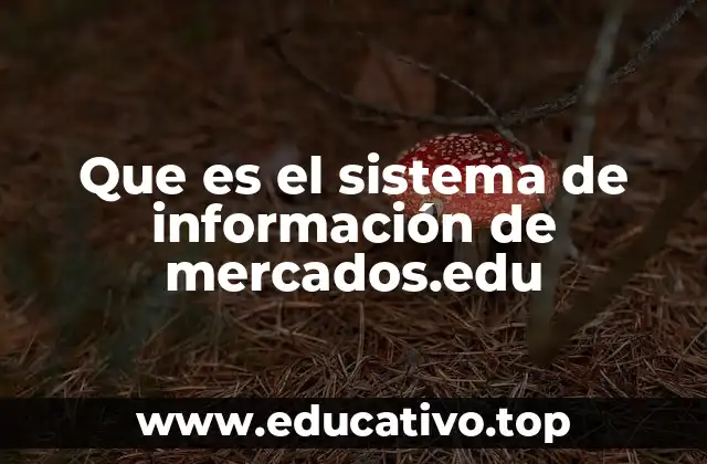 Que es el sistema de información de mercados.edu