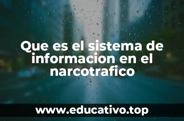 Que es el sistema de informacion en el narcotrafico