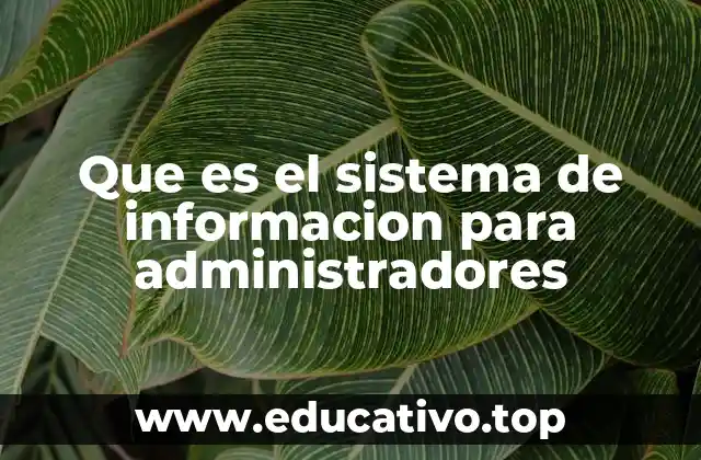 Que es el sistema de informacion para administradores