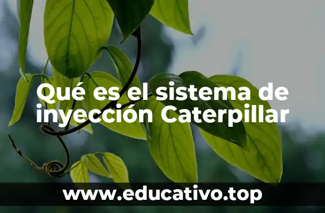 Qué es el sistema de inyección Caterpillar