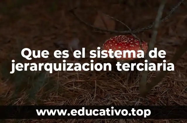 Aplicaciones de la jerarquía terciaria en diferentes contextos