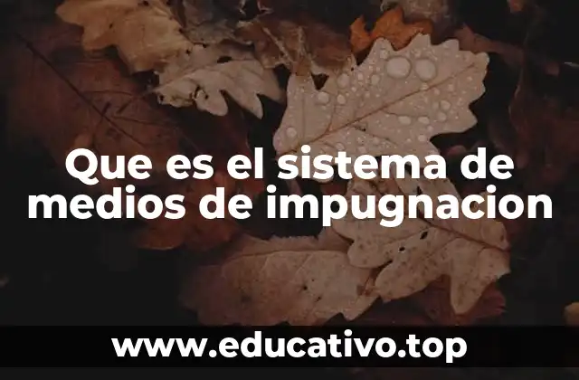 Que es el sistema de medios de impugnacion