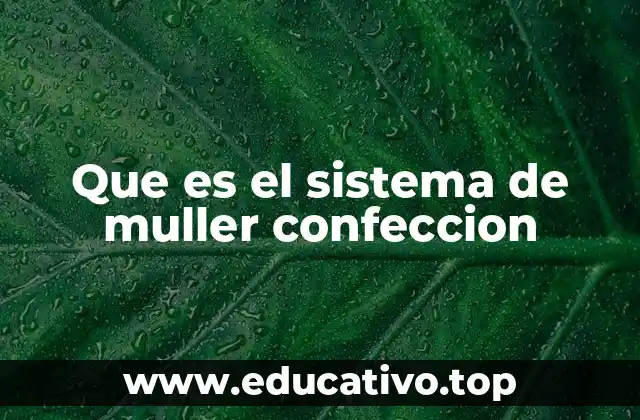 Que es el sistema de muller confeccion