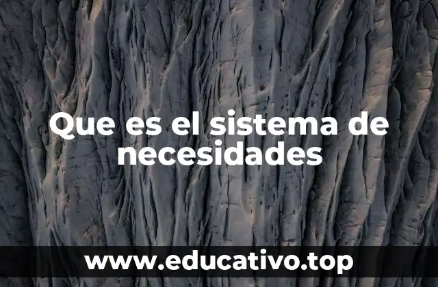 Que es el sistema de necesidades