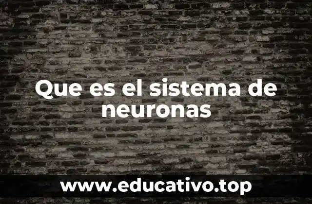 Que es el sistema de neuronas