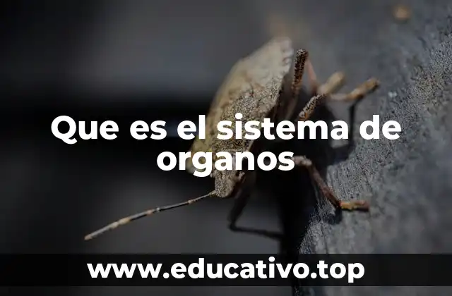 Que es el sistema de organos