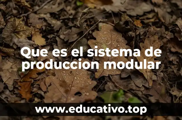 Que es el sistema de produccion modular