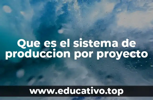Que es el sistema de produccion por proyecto