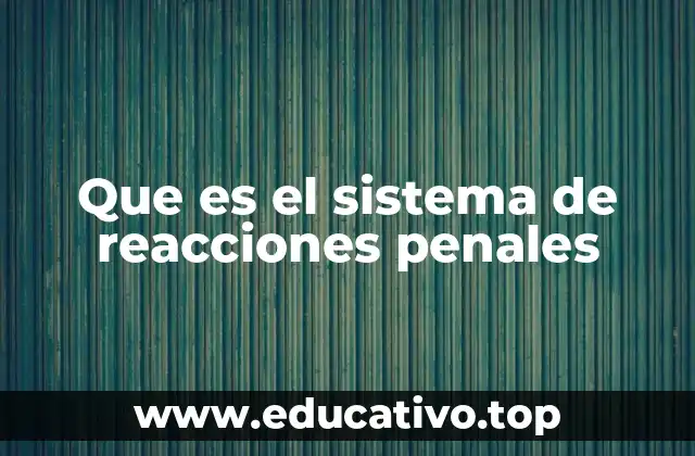 Que es el sistema de reacciones penales