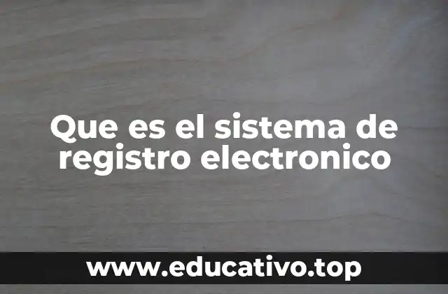 Que es el sistema de registro electronico