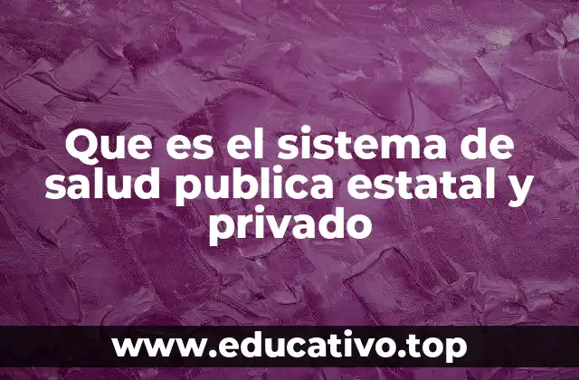 Que es el sistema de salud publica estatal y privado