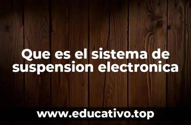 Que es el sistema de suspension electronica