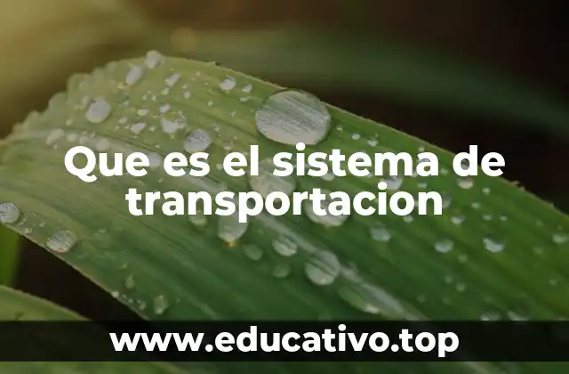 Que es el sistema de transportacion