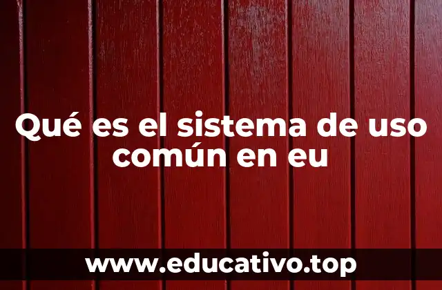 Qué es el sistema de uso común en eu