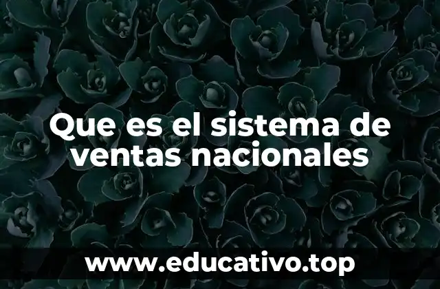 Que es el sistema de ventas nacionales