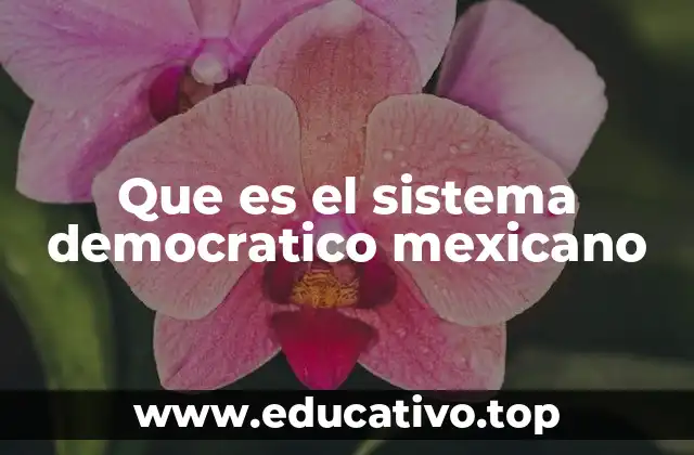 Que es el sistema democratico mexicano
