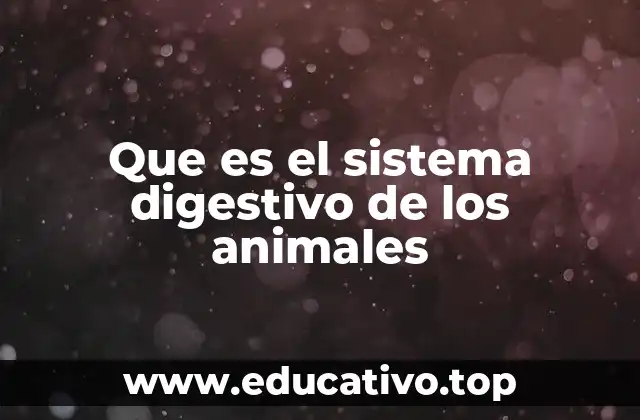 Que es el sistema digestivo de los animales