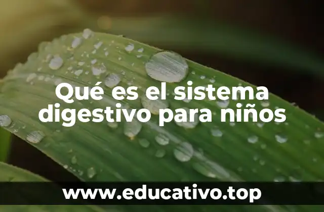 Qué es el sistema digestivo para niños