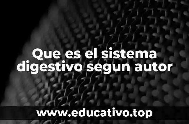 La visión anatómica y funcional del sistema digestivo