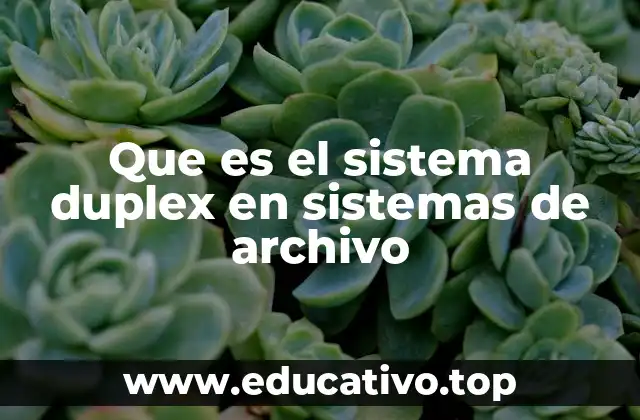 Que es el sistema duplex en sistemas de archivo