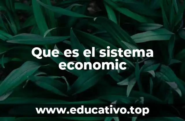 Cómo funciona un sistema económico