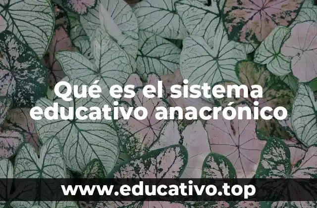 Características de los sistemas educativos que no evolucionan con el tiempo