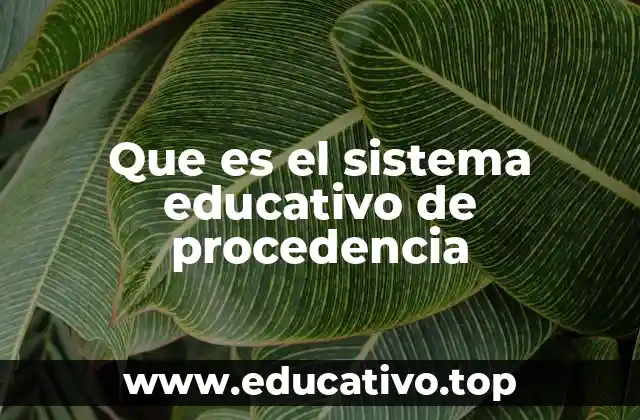 Que es el sistema educativo de procedencia