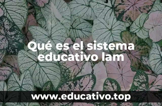 Qué es el sistema educativo lam