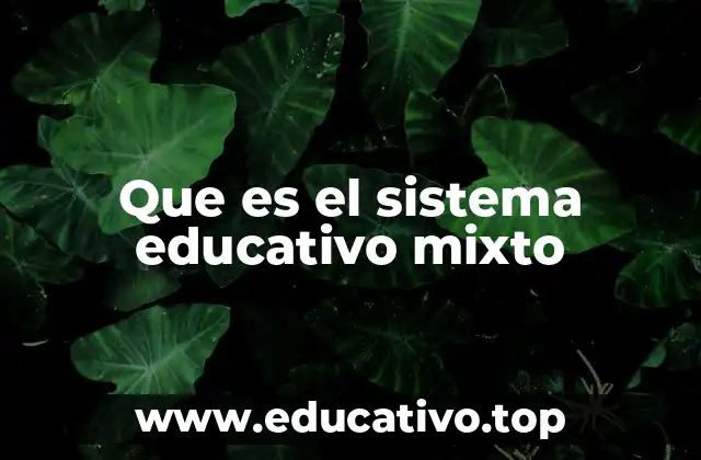 Que es el sistema educativo mixto