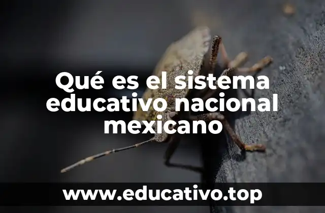 Qué es el sistema educativo nacional mexicano