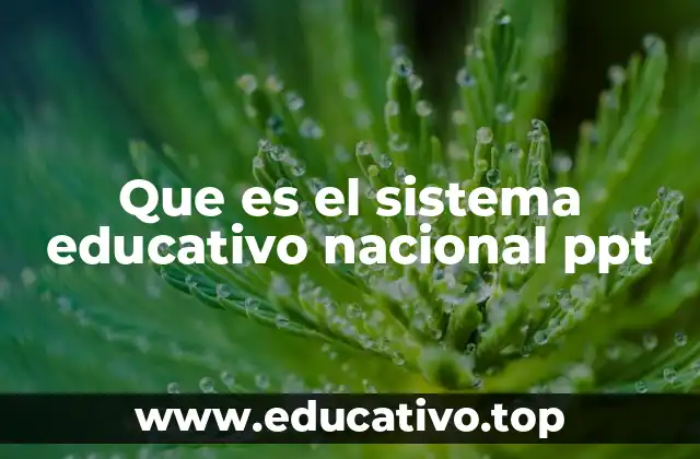 Que es el sistema educativo nacional ppt