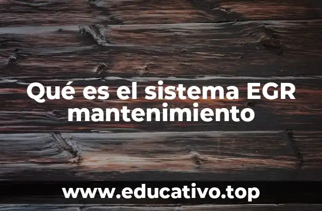 Importancia del cuidado de los componentes del sistema EGR