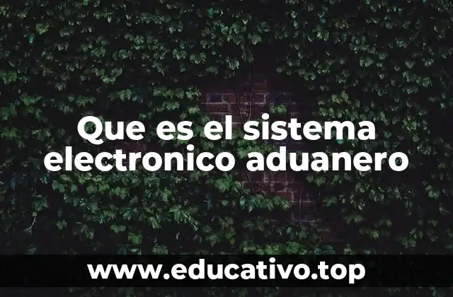 Que es el sistema electronico aduanero