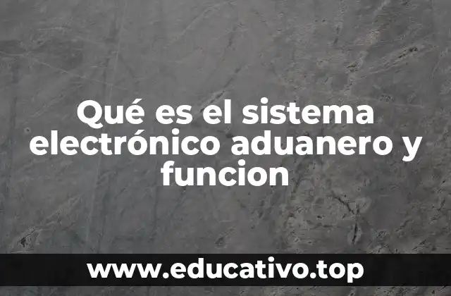Qué es el sistema electrónico aduanero y funcion