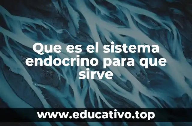 Que es el sistema endocrino para que sirve