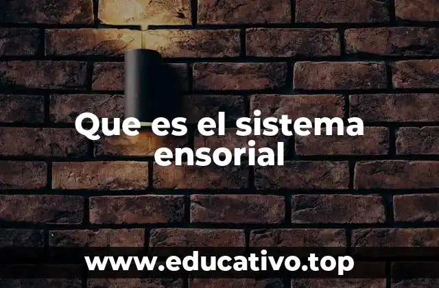 La importancia de los estímulos sensoriales en la percepción del entorno