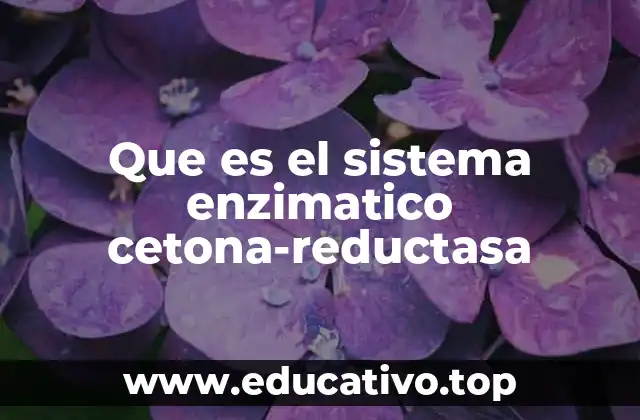 Que es el sistema enzimatico cetona-reductasa