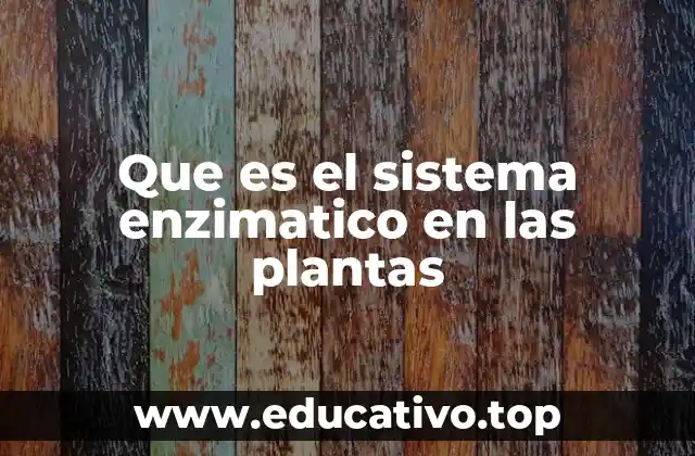 El papel biológico de las enzimas en la fisiología vegetal