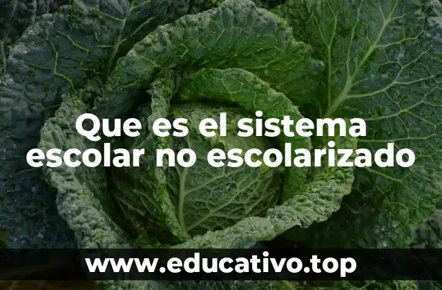 Que es el sistema escolar no escolarizado