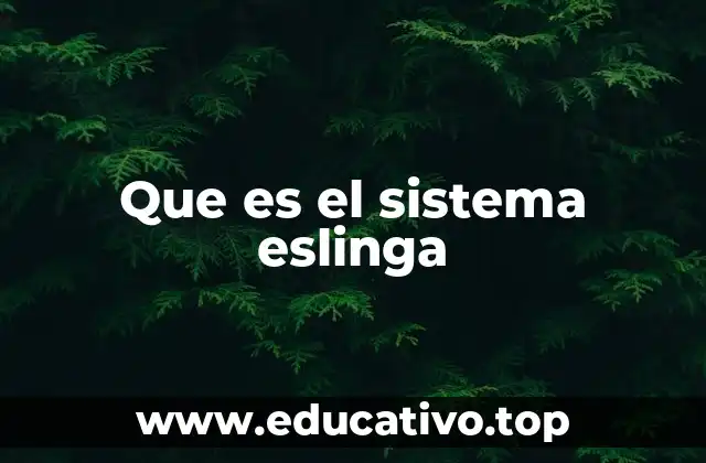 Que es el sistema eslinga