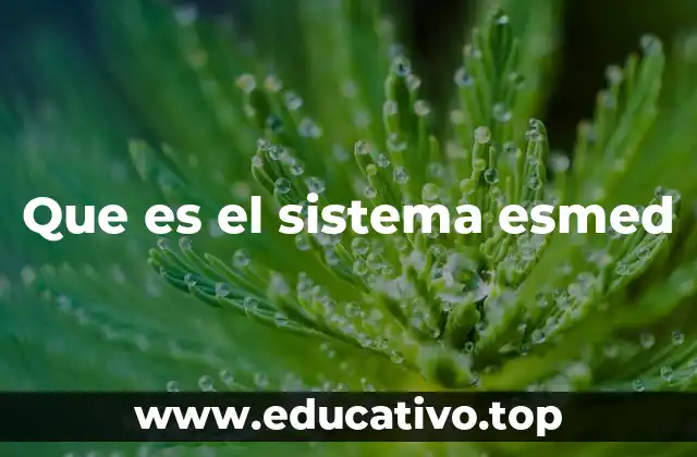 Que es el sistema esmed