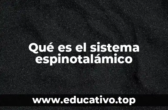 Qué es el sistema espinotalámico