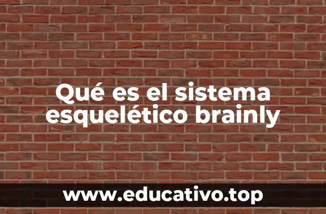 Qué es el sistema esquelético brainly