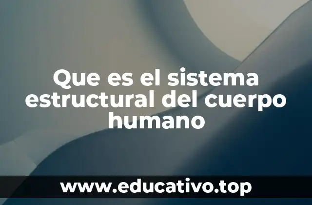 Que es el sistema estructural del cuerpo humano