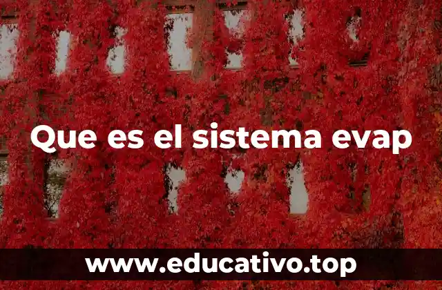 Que es el sistema evap
