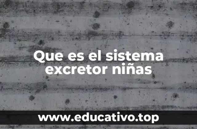 Que es el sistema excretor niñas