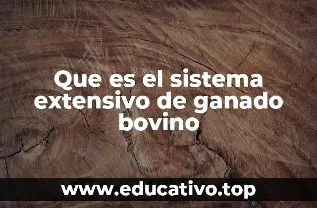 Que es el sistema extensivo de ganado bovino