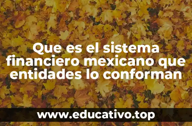 Que es el sistema financiero mexicano que entidades lo conforman