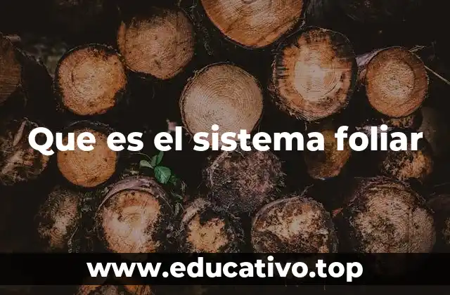 Que es el sistema foliar