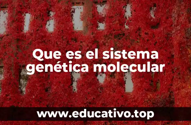 Que es el sistema genética molecular